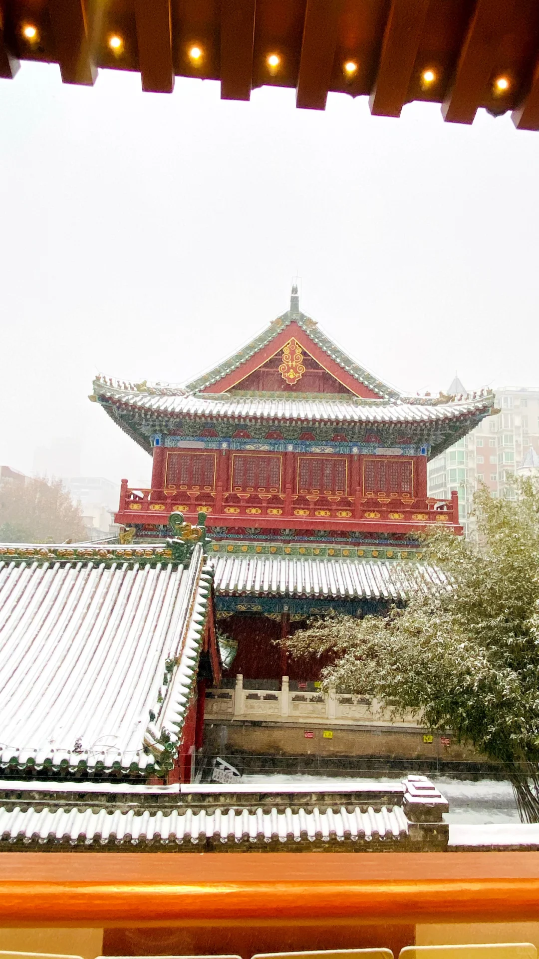 我在郑州文庙拍出了大雪中故宫既视感