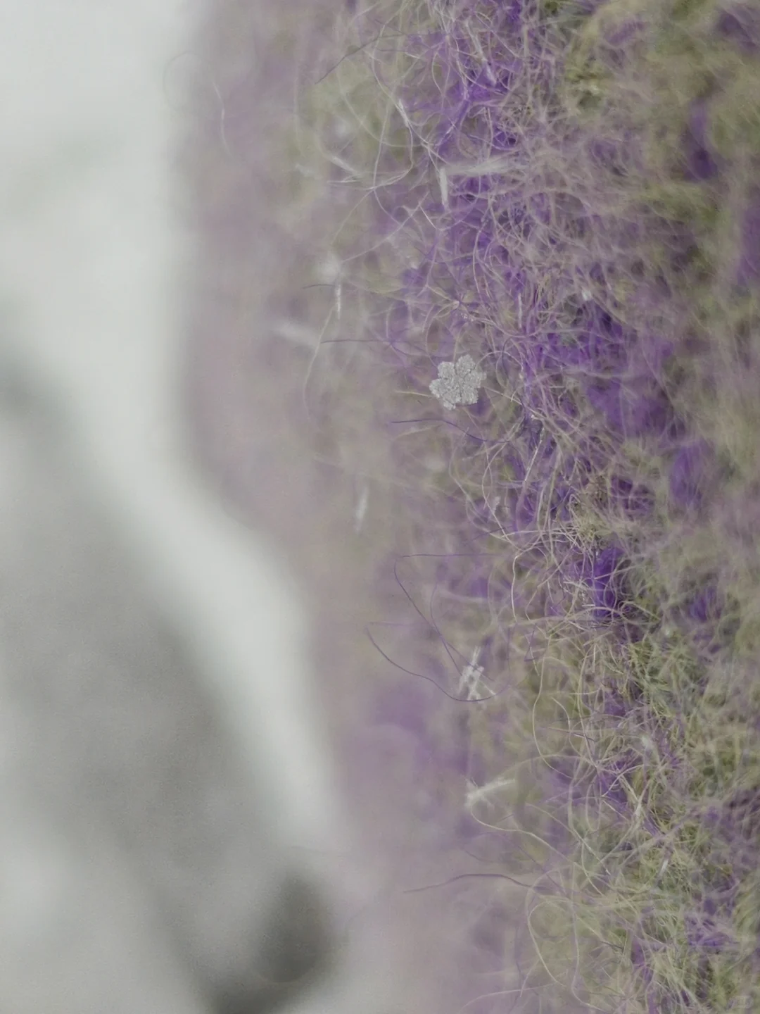 郑州的雪为啥像针