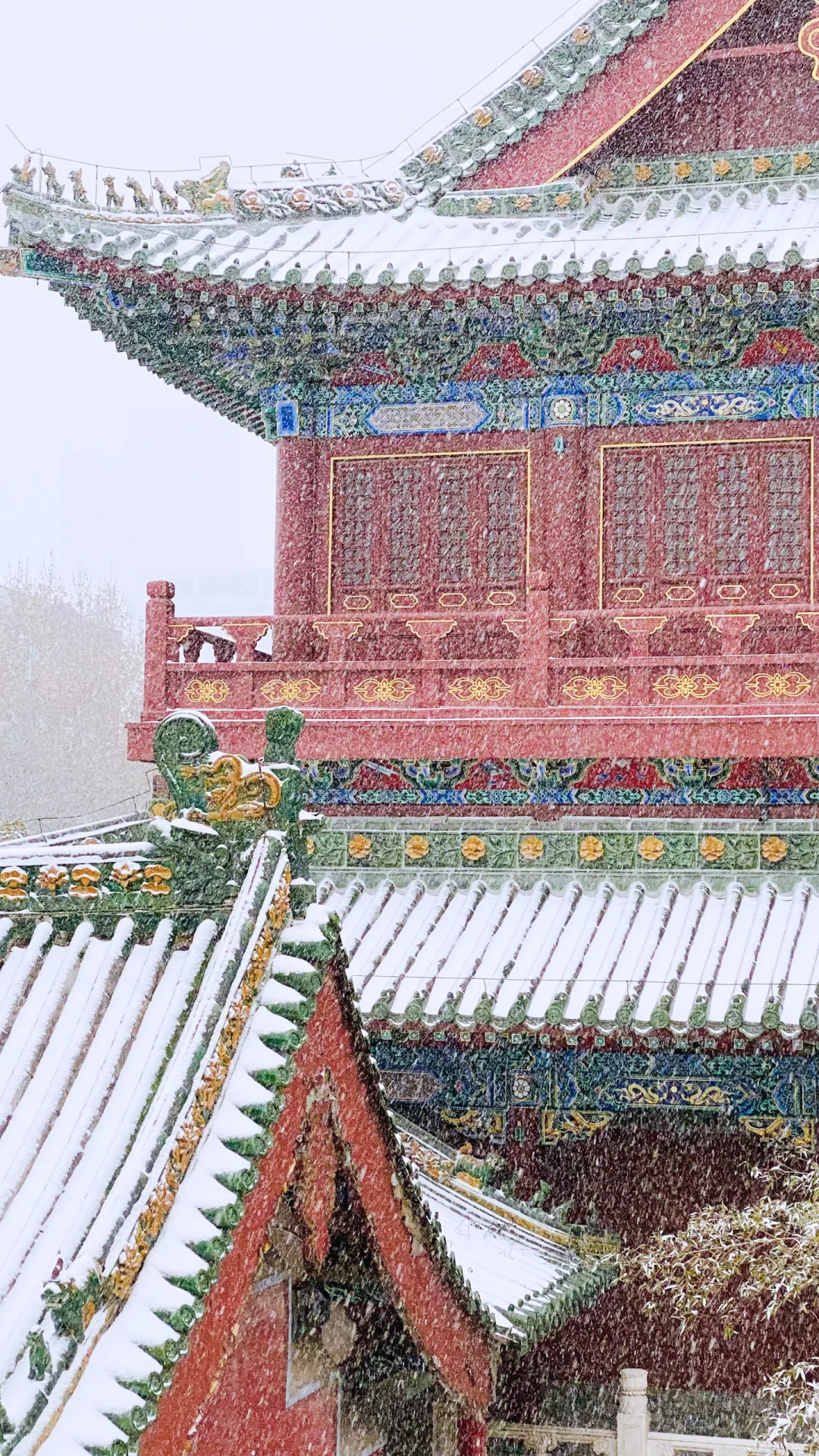 我在郑州文庙拍出了大雪中故宫既视感