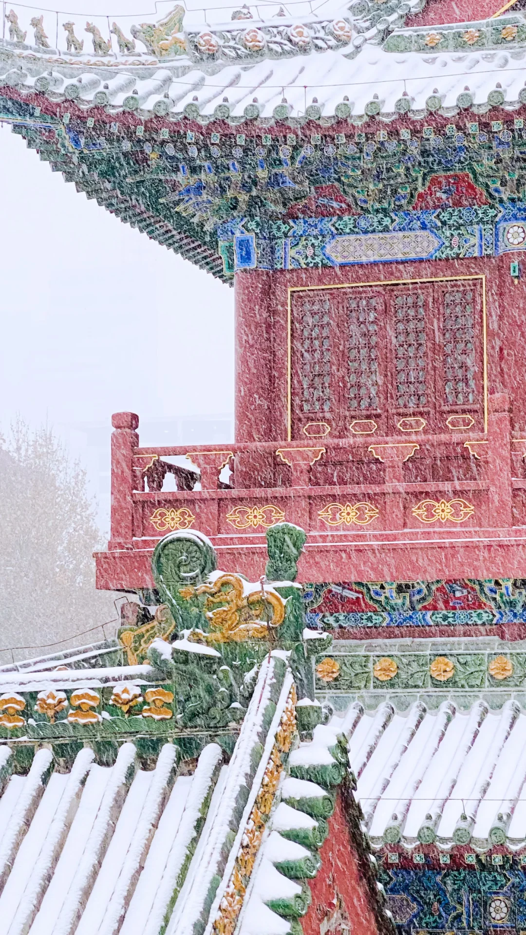 我在郑州文庙拍出了大雪中故宫既视感