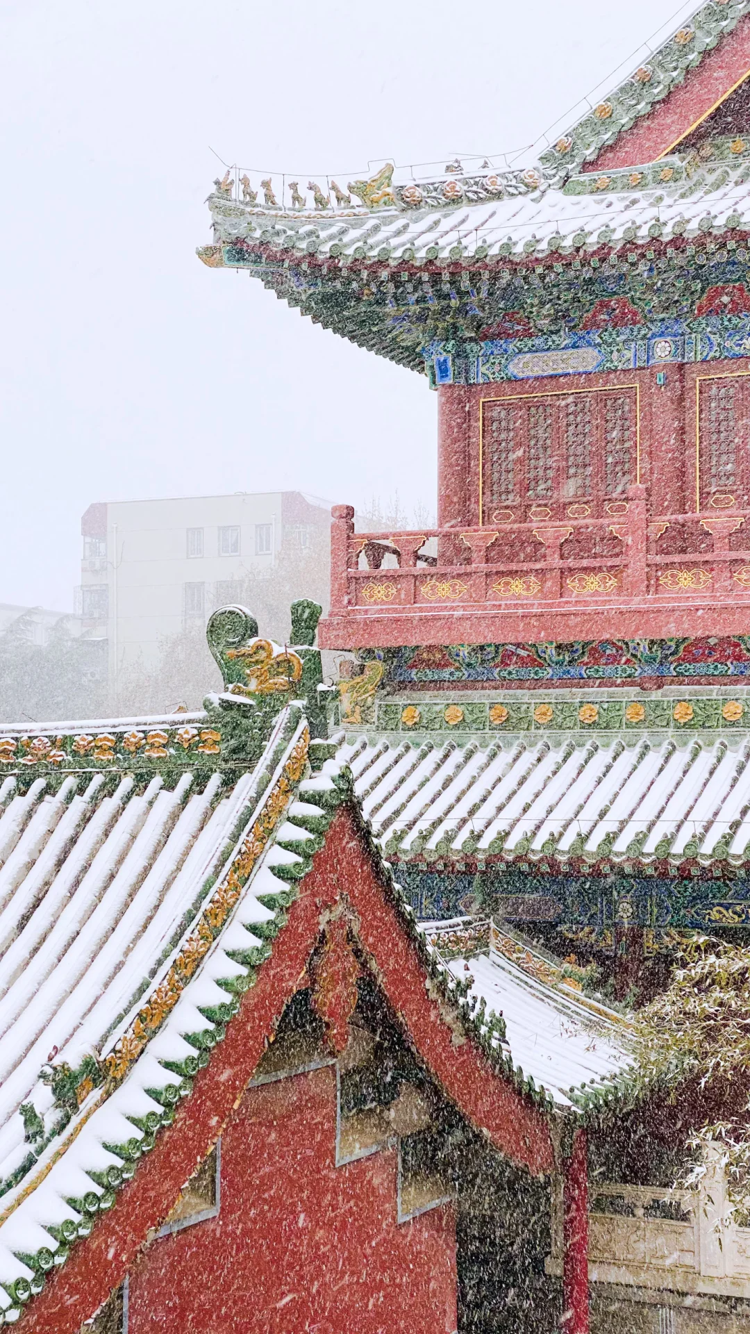 我在郑州文庙拍出了大雪中故宫既视感
