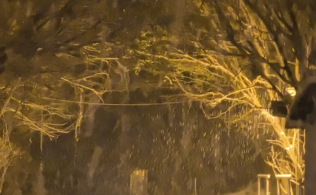 12.12安阳的暴雪杀疯了！！！