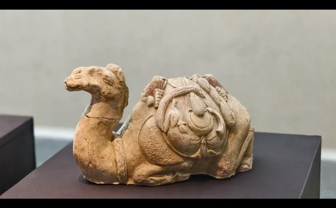 安阳博物馆隋代麴庆墓藏品