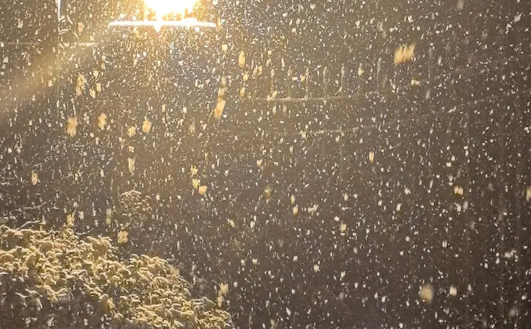 12.13凌晨，安阳暴雪封神现场！