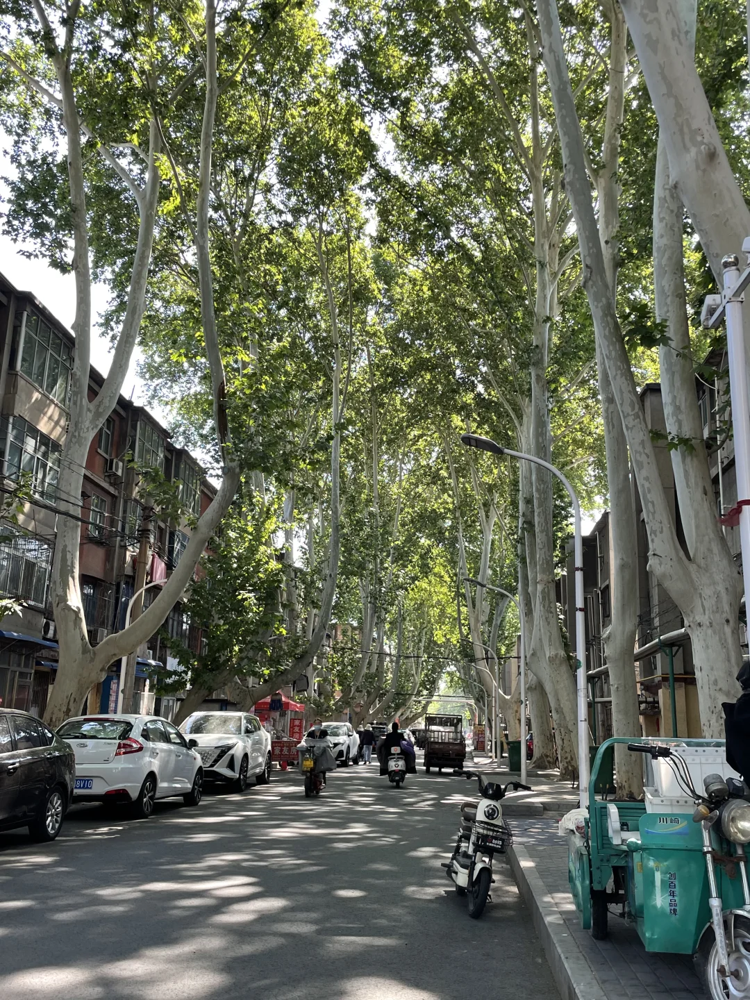 又来安阳啦！！！