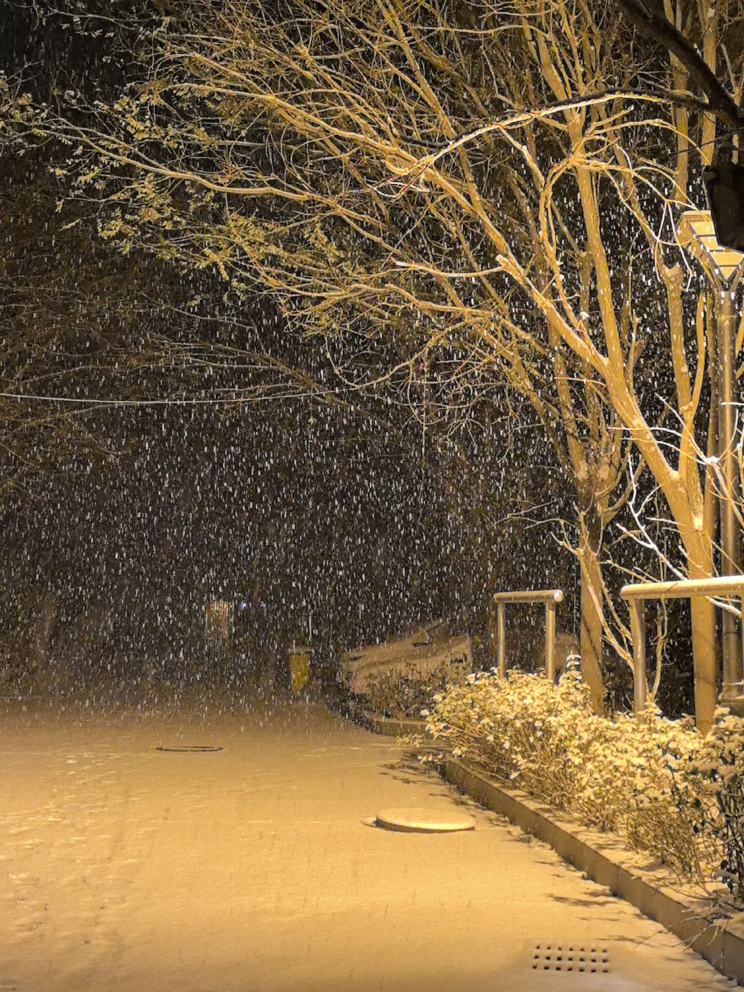 12.12安阳的暴雪杀疯了！！！