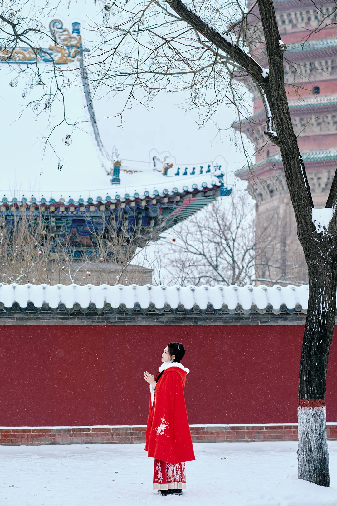 安阳也有这么美的雪景