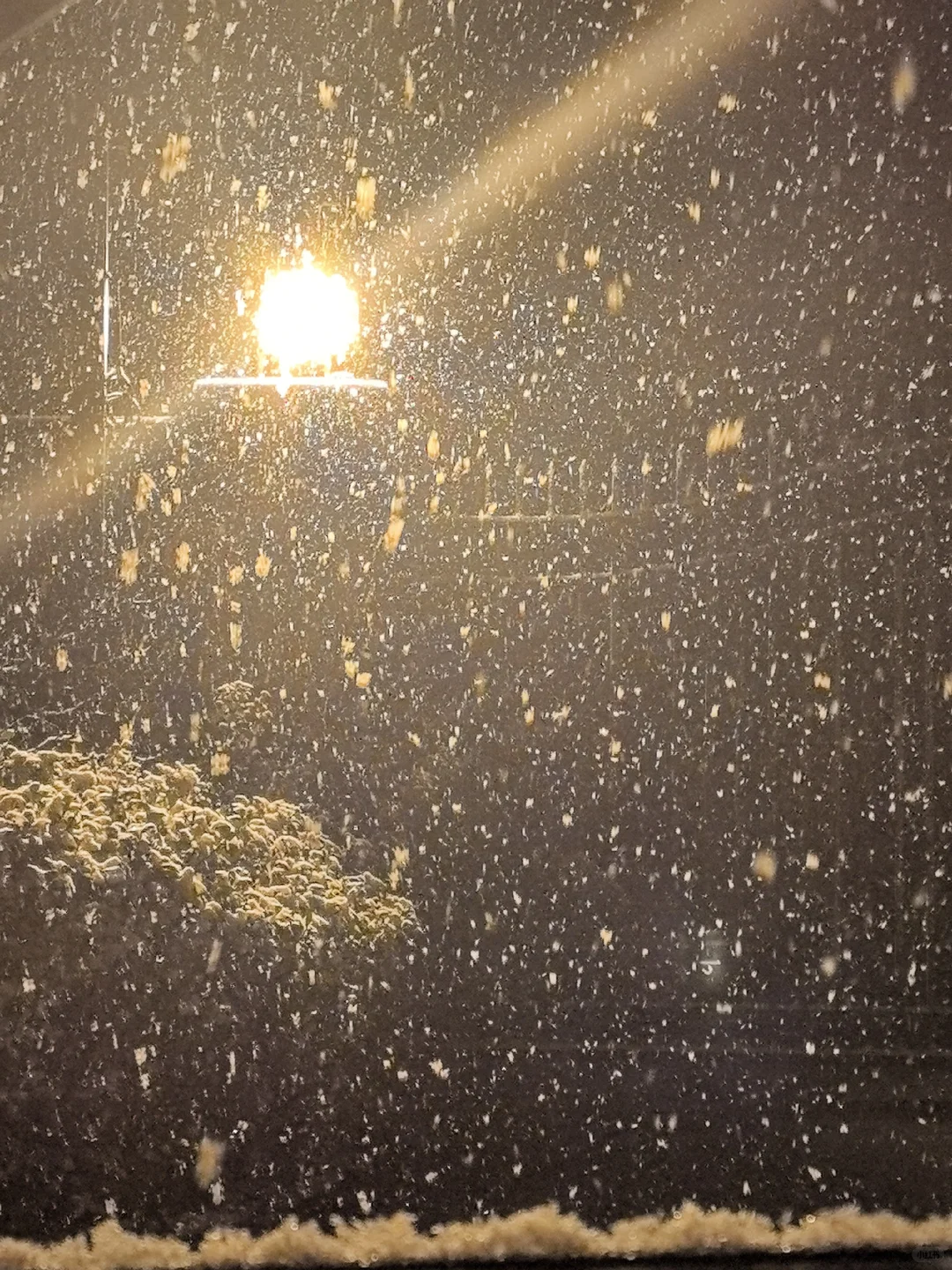 12.13凌晨，安阳暴雪封神现场！