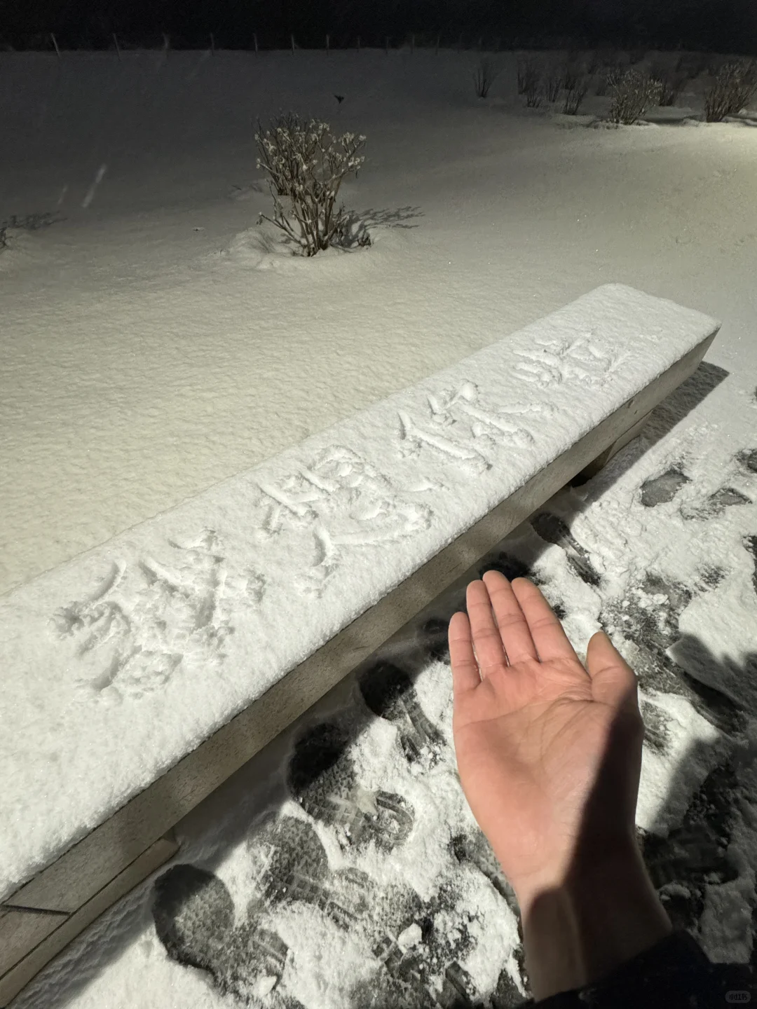 📍 An Yang • 殷墟博物馆