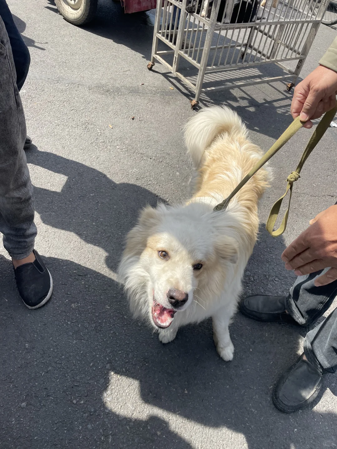 又来安阳啦！！！