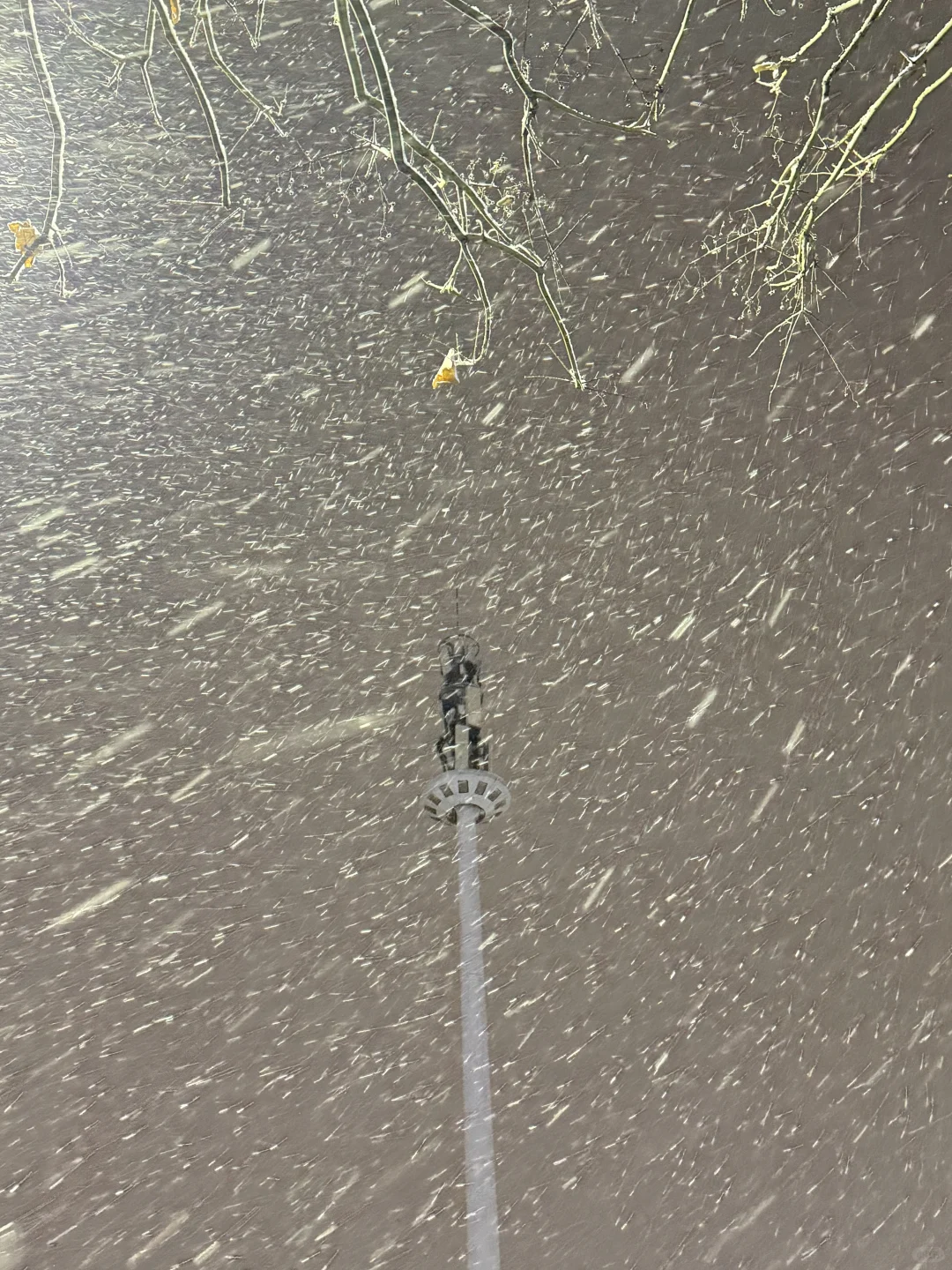 📍 An Yang • 殷墟博物馆