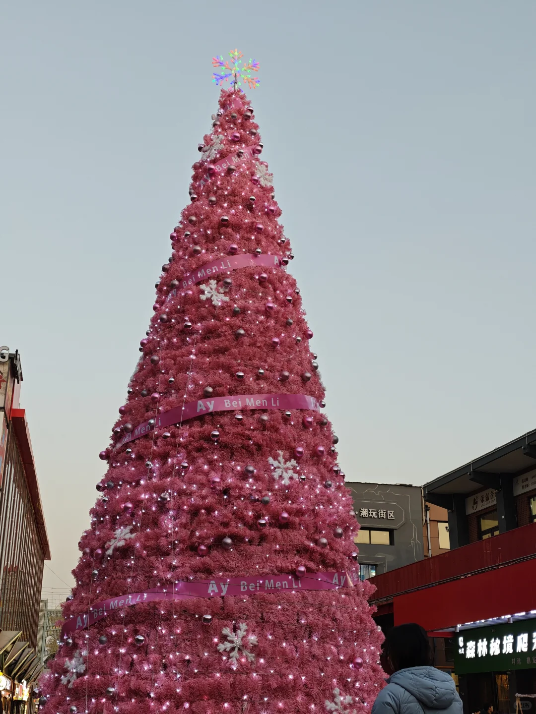 来自北门印象里的粉色圣诞树