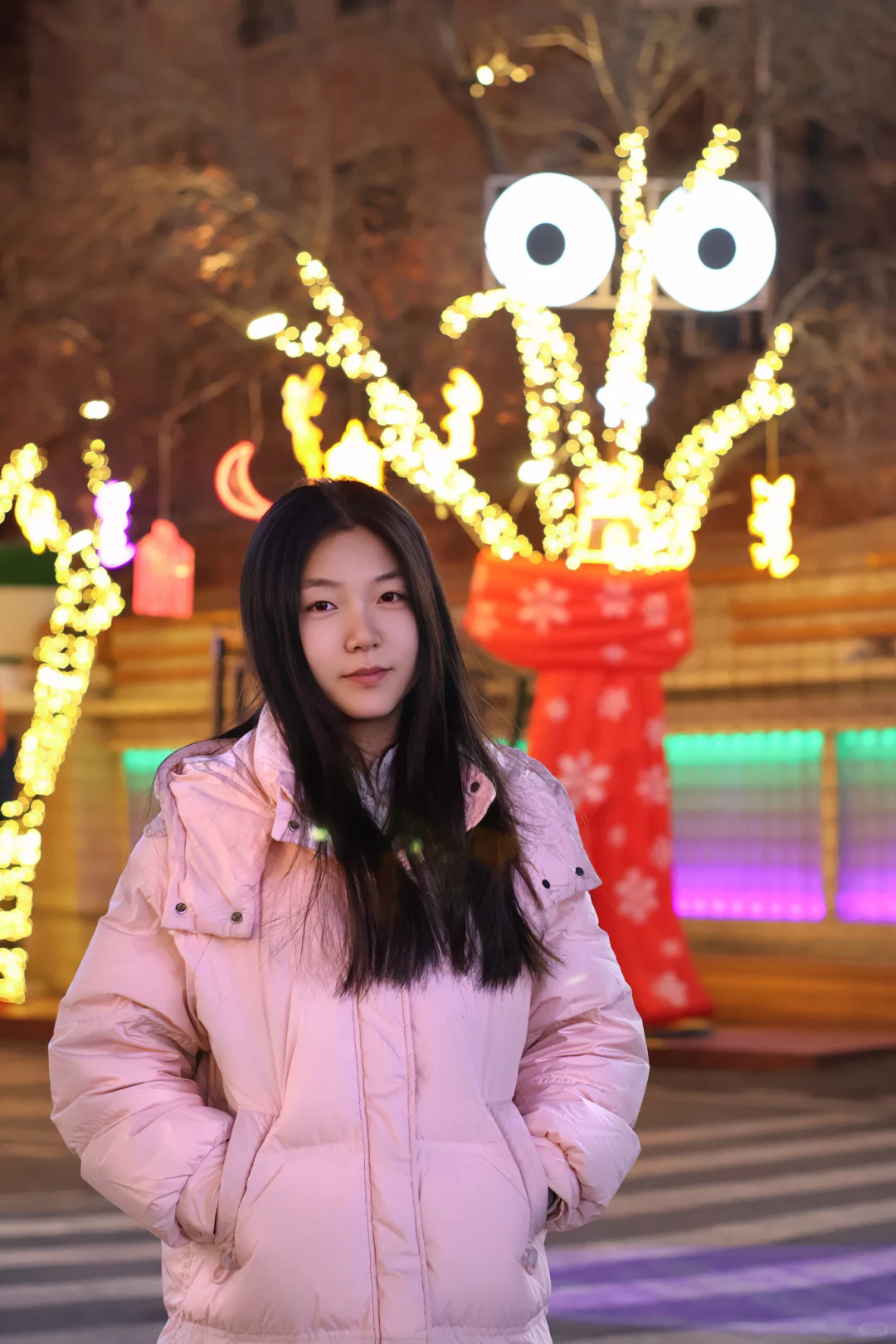 客片|北门里圣诞树