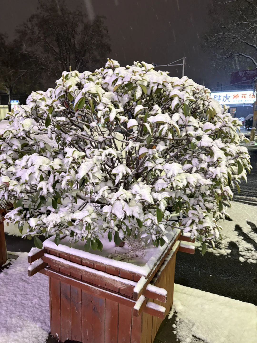 安阳初雪❄️