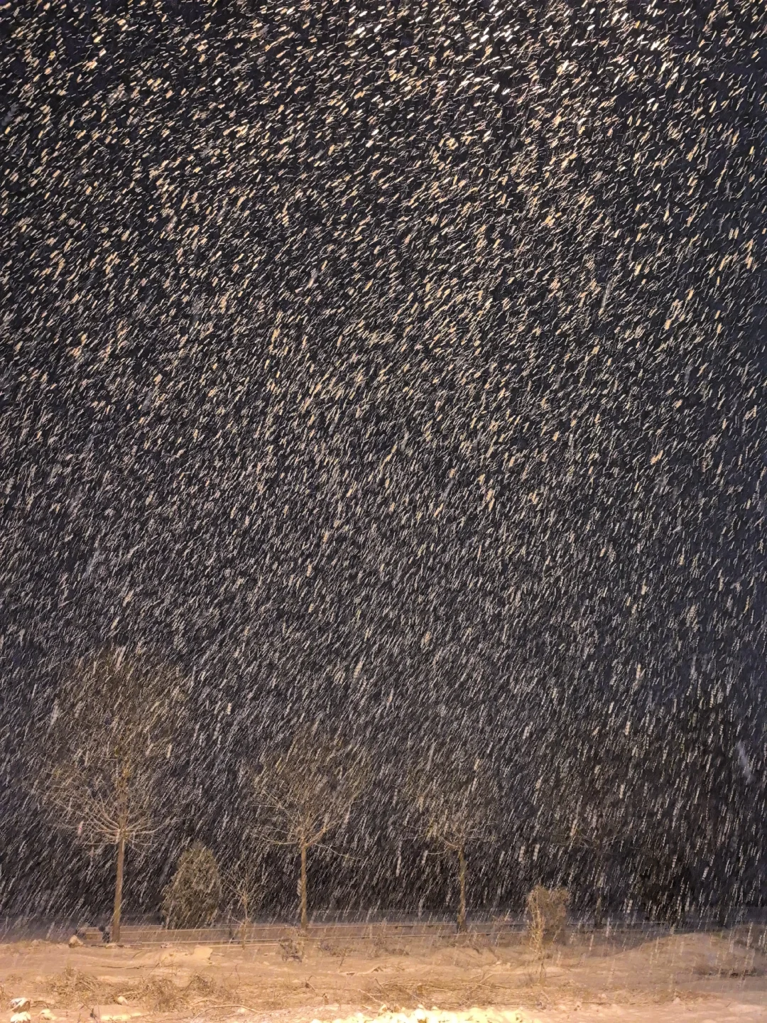 12.13凌晨，安阳暴雪封神现场！