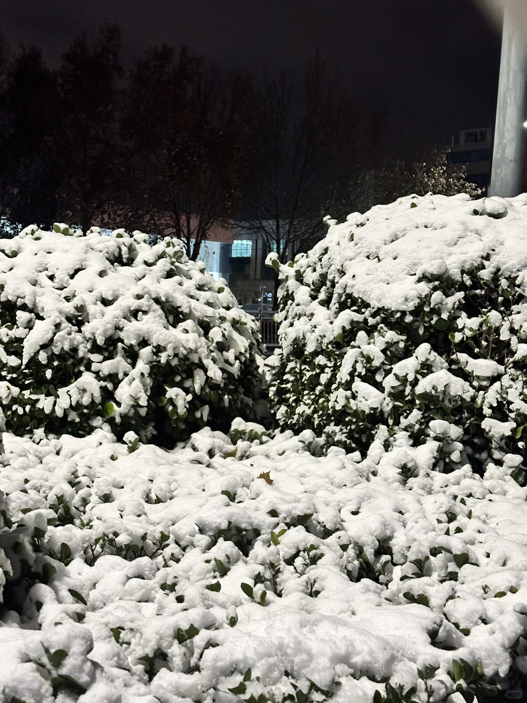 安阳很漂亮（12/100）