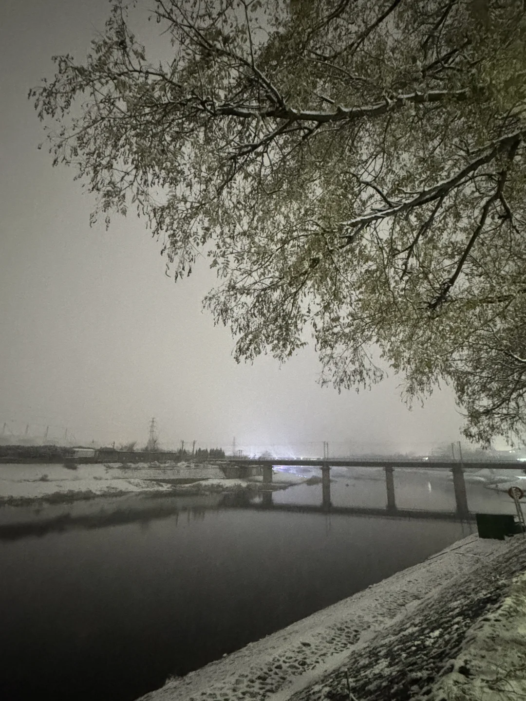 📍 An Yang • 殷墟博物馆