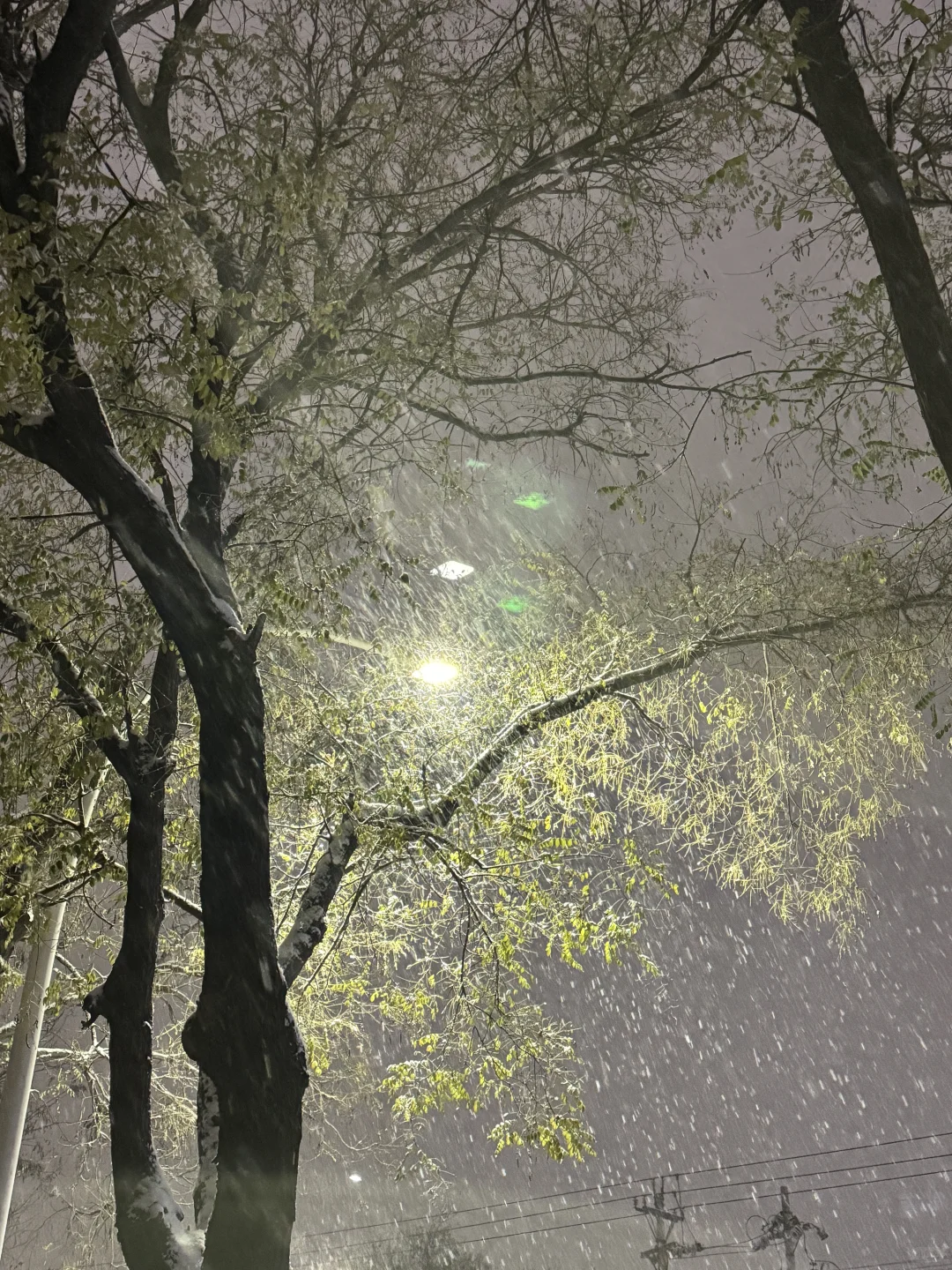 📍 An Yang • 殷墟博物馆