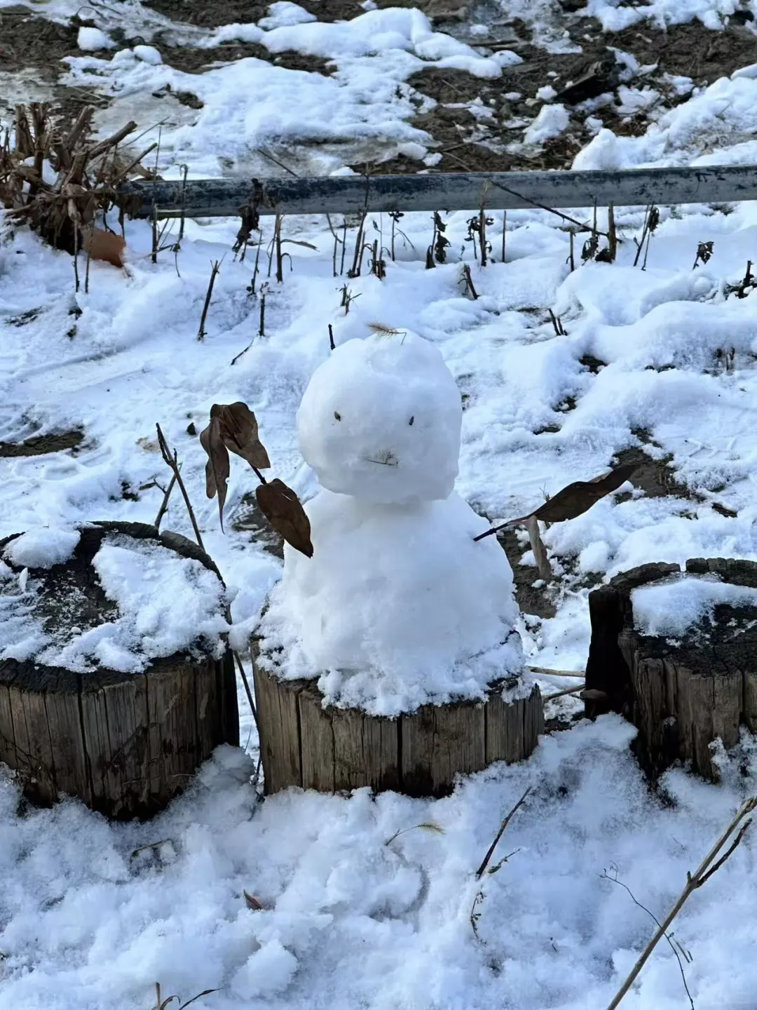 安阳很漂亮（12/100）
