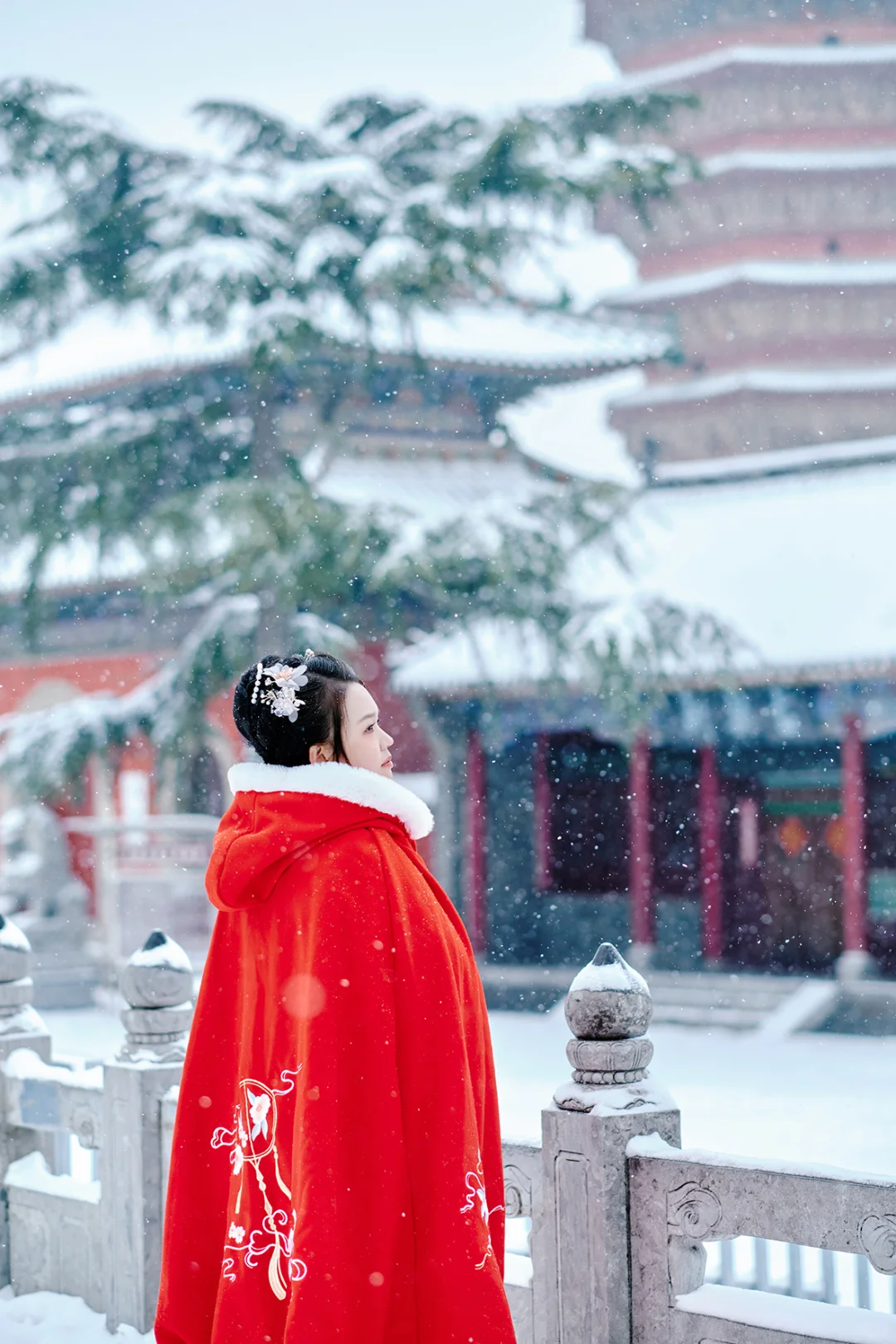 安阳也有这么美的雪景