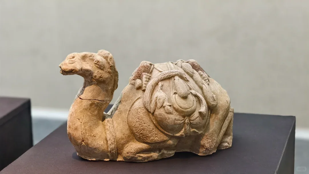 安阳博物馆隋代麴庆墓藏品