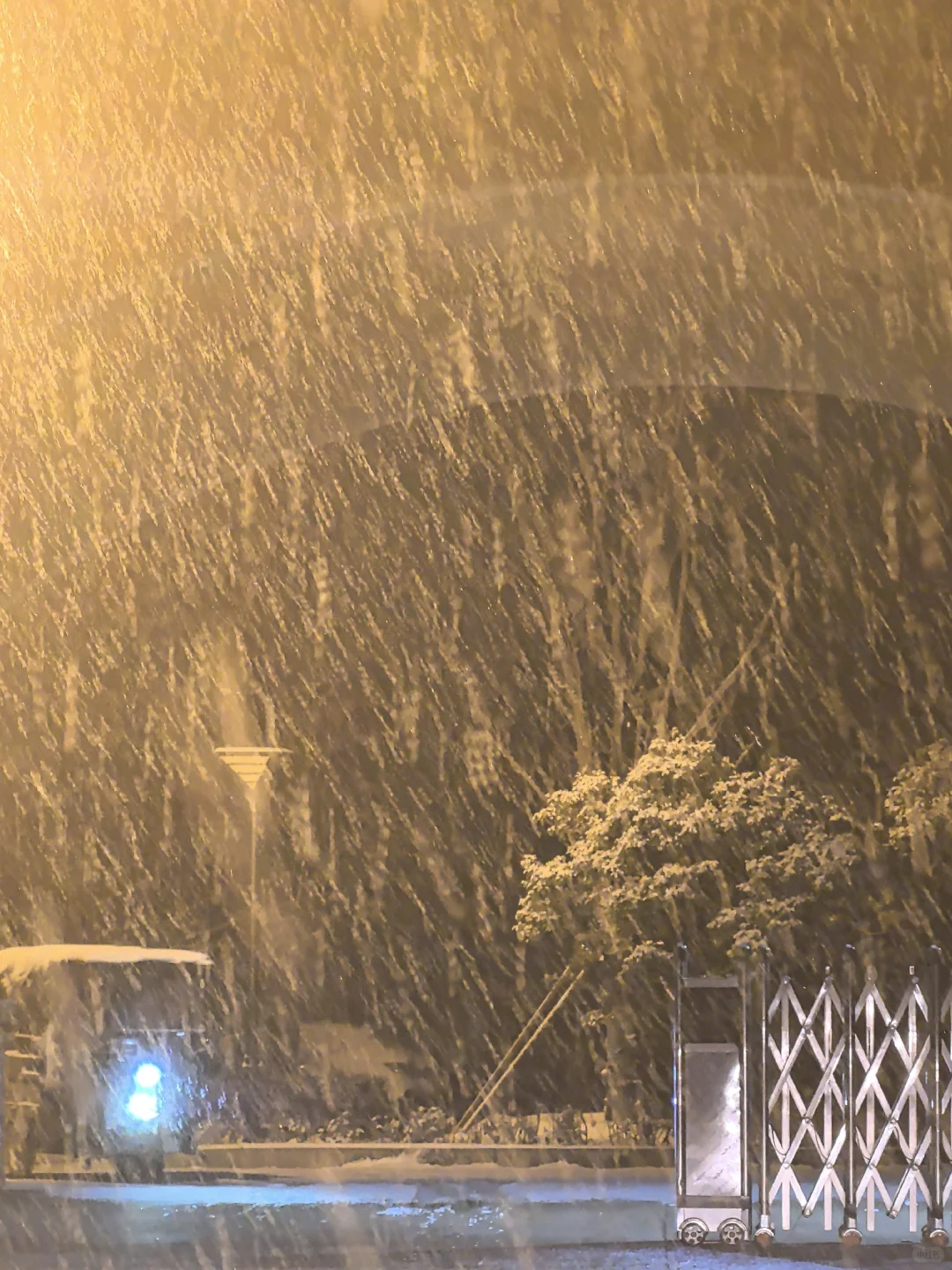 12.12安阳的暴雪杀疯了！！！