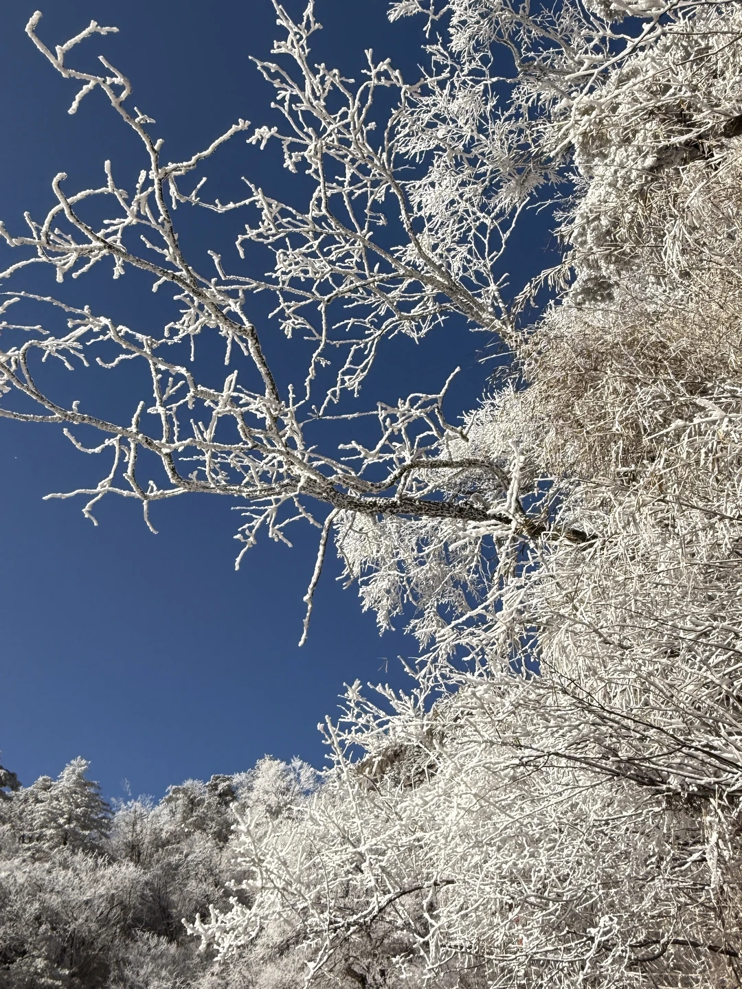 老君山最美的一天❄️
