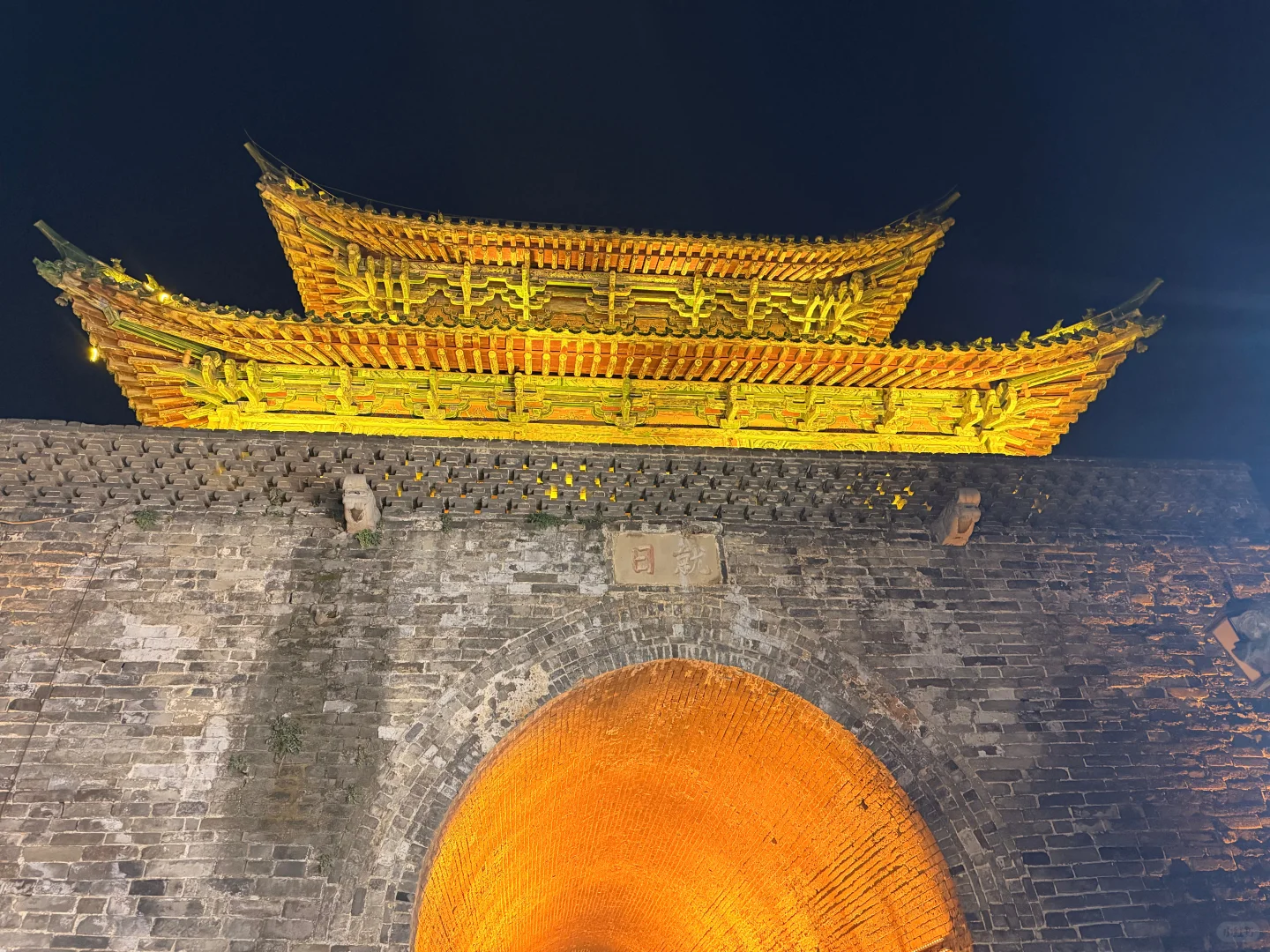 下次再见 神都洛阳 🫡