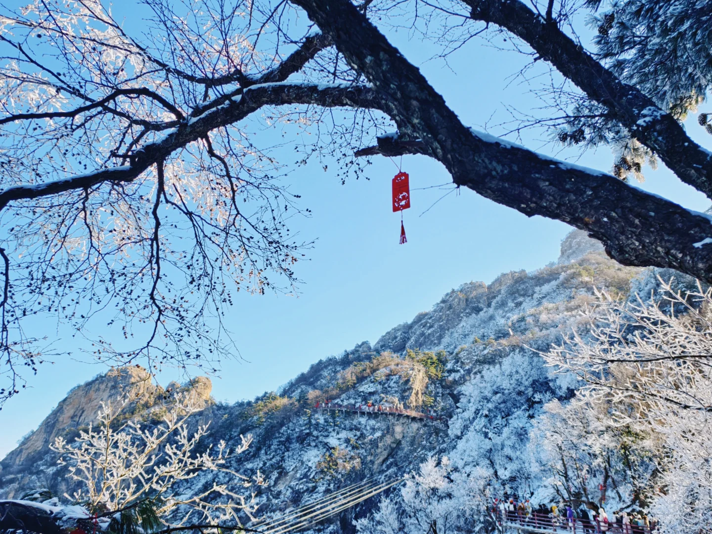 远赴人间惊鸿宴🌬️老君山上看日落看雪❄️