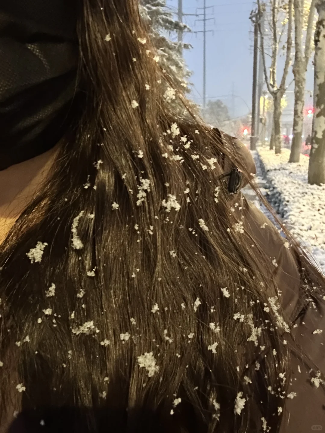 他朝若是同淋雪 此生也算共白头