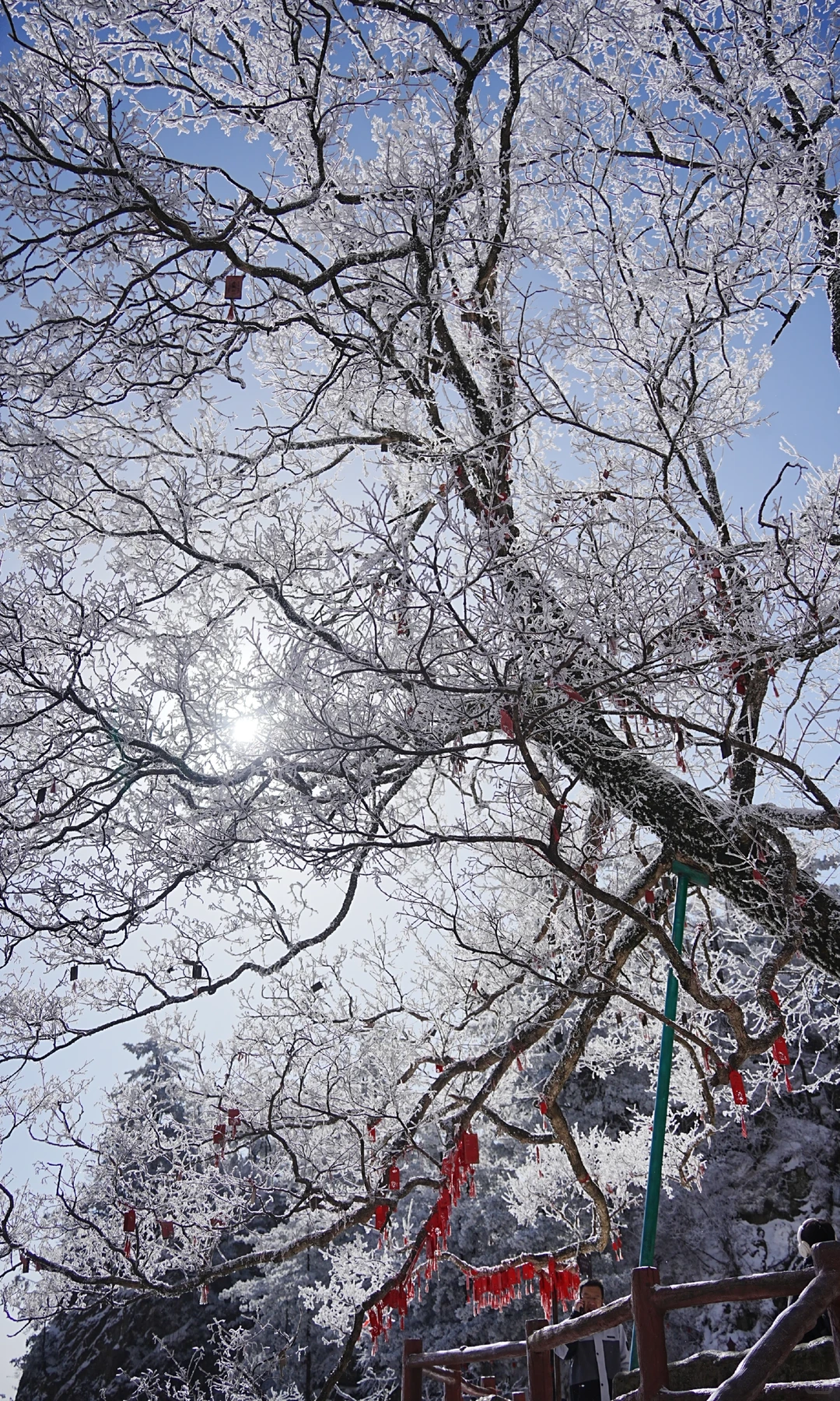 12.13| 老君山已下山，有什么想问的吗？