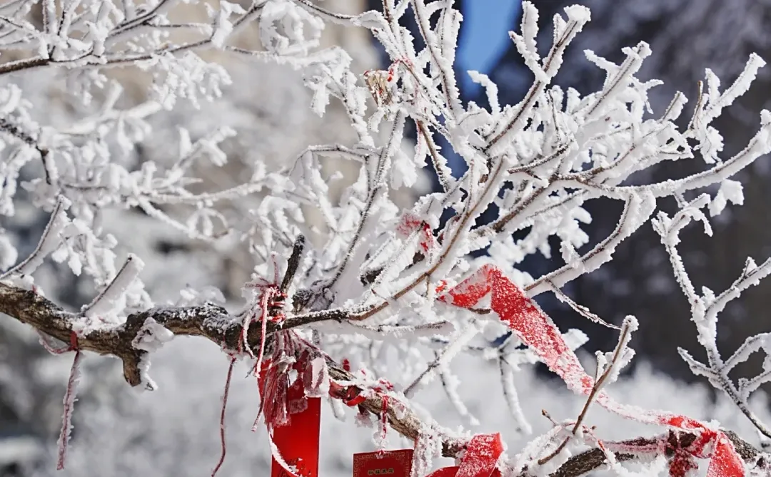 12.13| 老君山已下山，有什么想问的吗？
