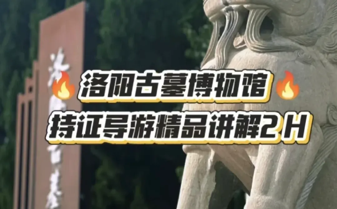 洛阳古墓博物馆拼团人工讲解