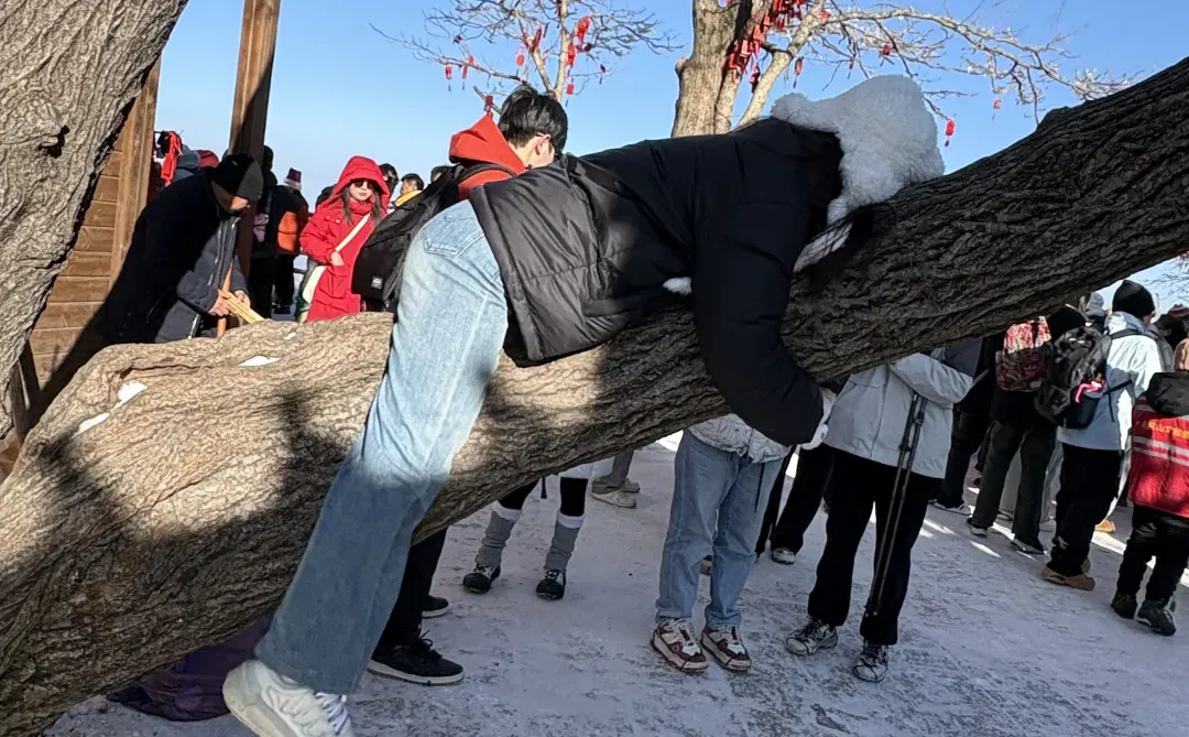小小老君山拿捏了