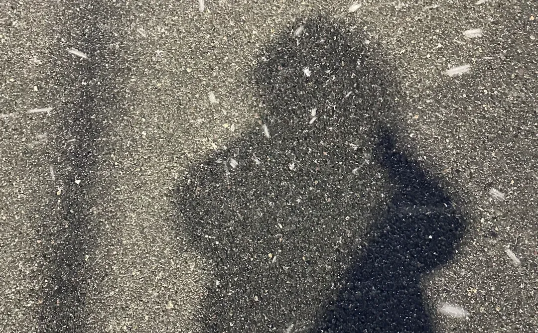 今天的雪，有点好看～