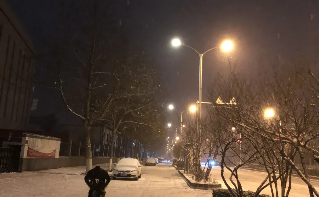 听说初雪这一天，所有的谎言都会被原谅。