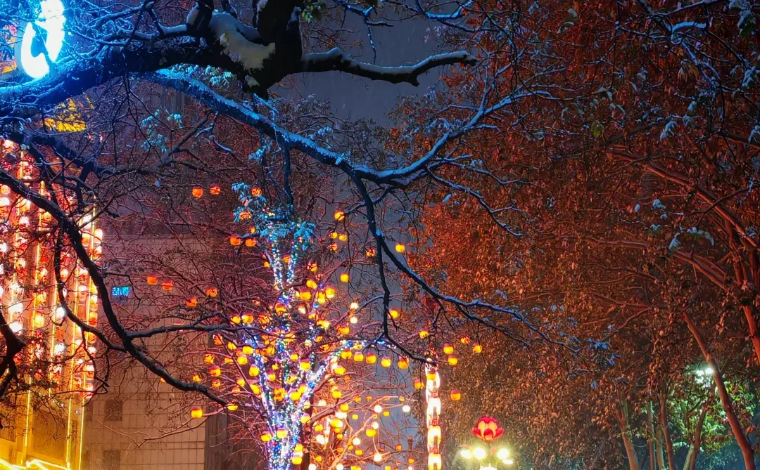 用动态照片记录这场鹅毛大雪