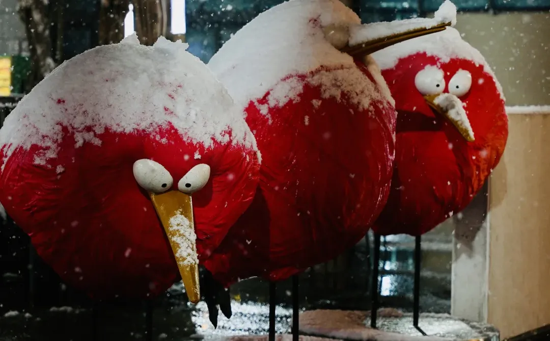 雪景下的柳叶道，格外美