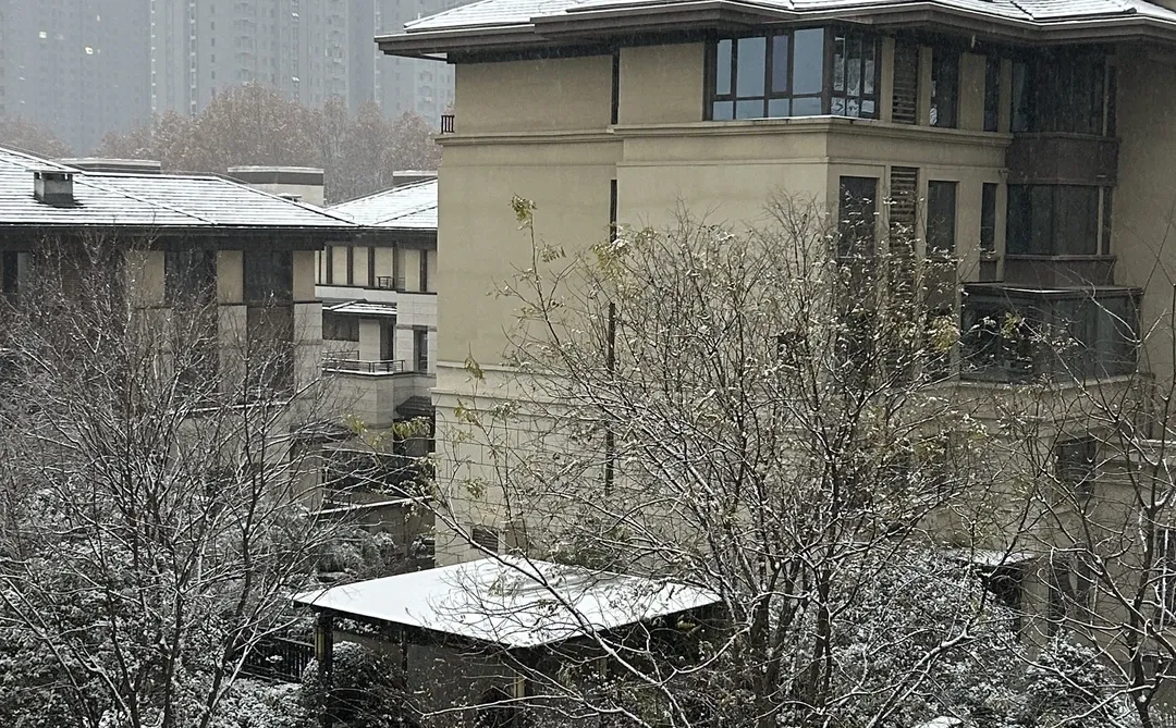 洛阳下大雪啦❄️