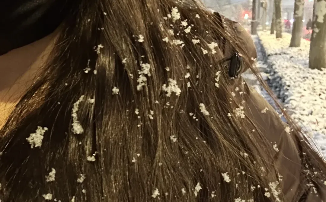 他朝若是同淋雪 此生也算共白头