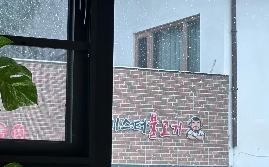下雪噜