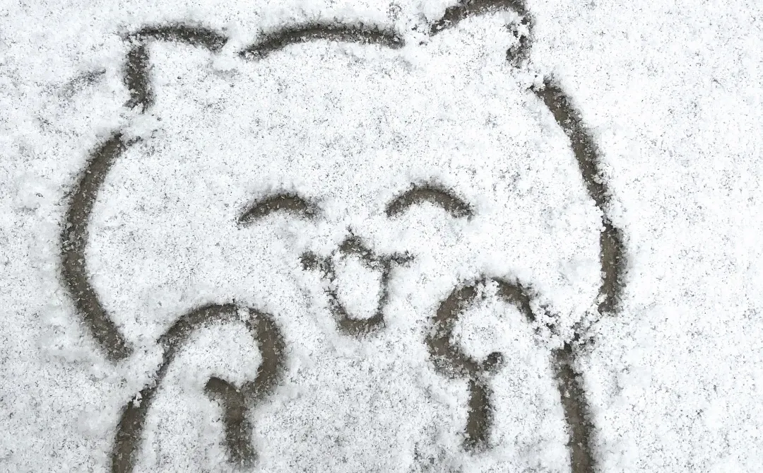 下雪了～咪