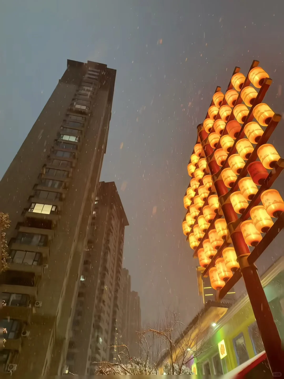 2025.1212 洛阳初雪❄️