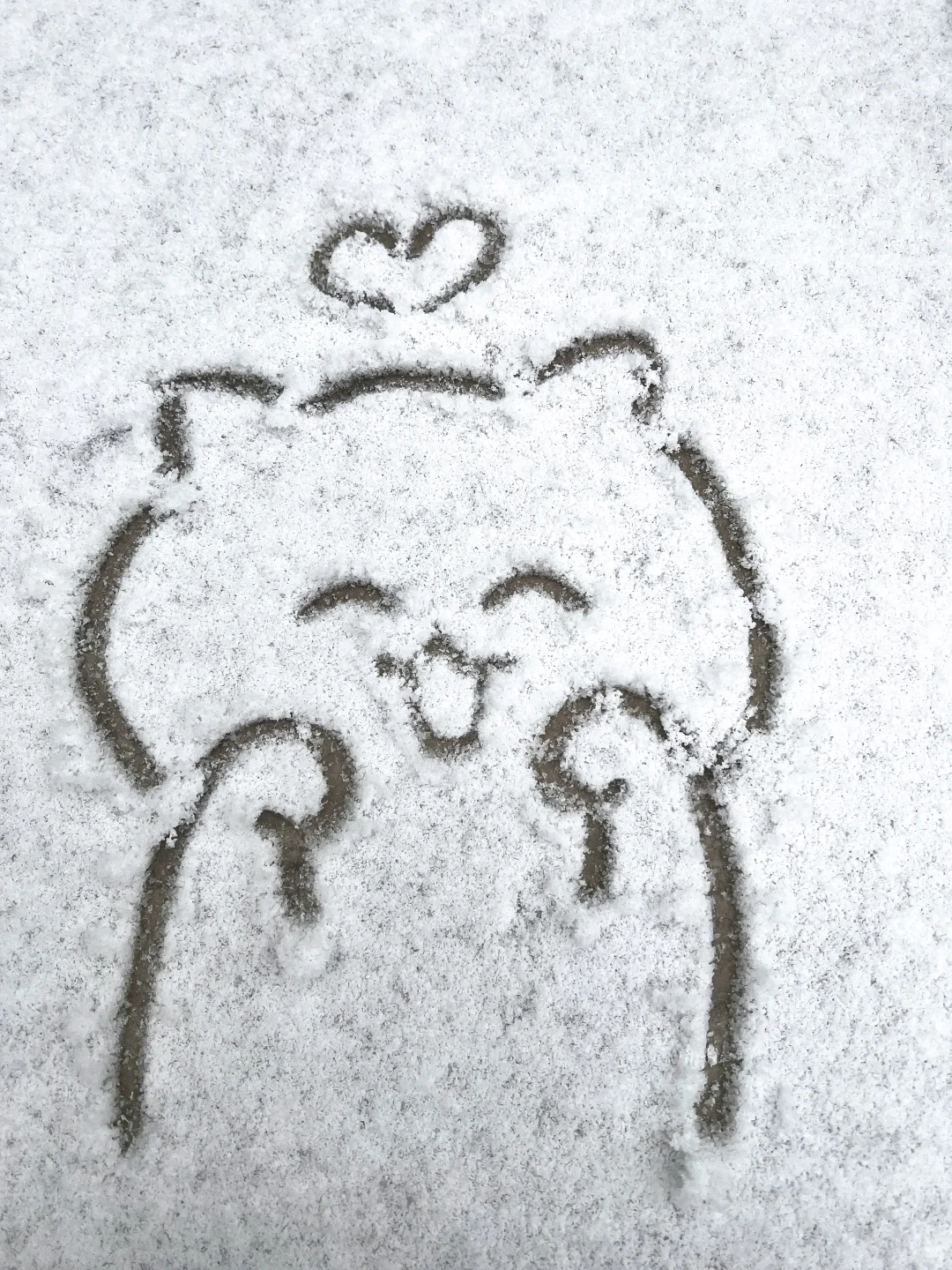 下雪了～咪