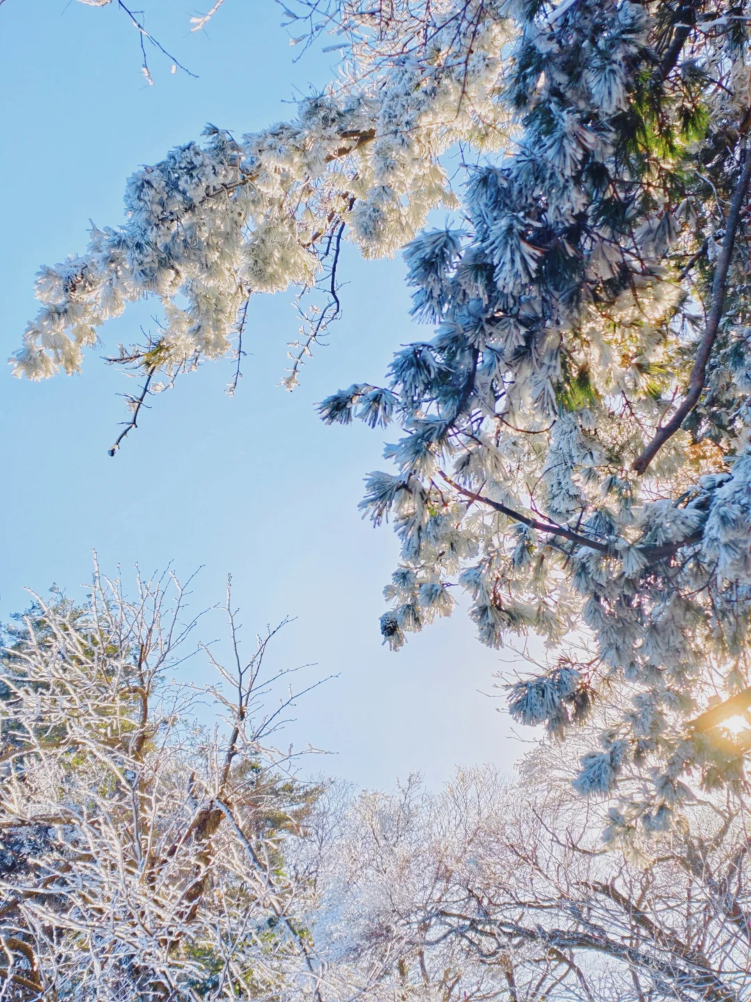 远赴人间惊鸿宴🌬️老君山上看日落看雪❄️