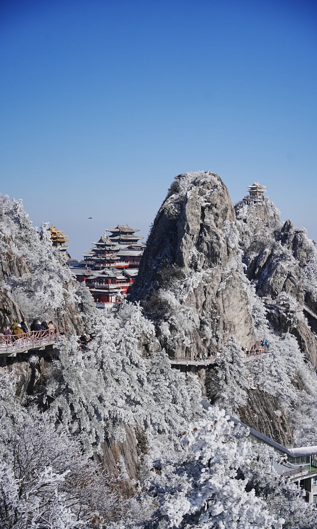 12.13| 老君山已下山，有什么想问的吗？