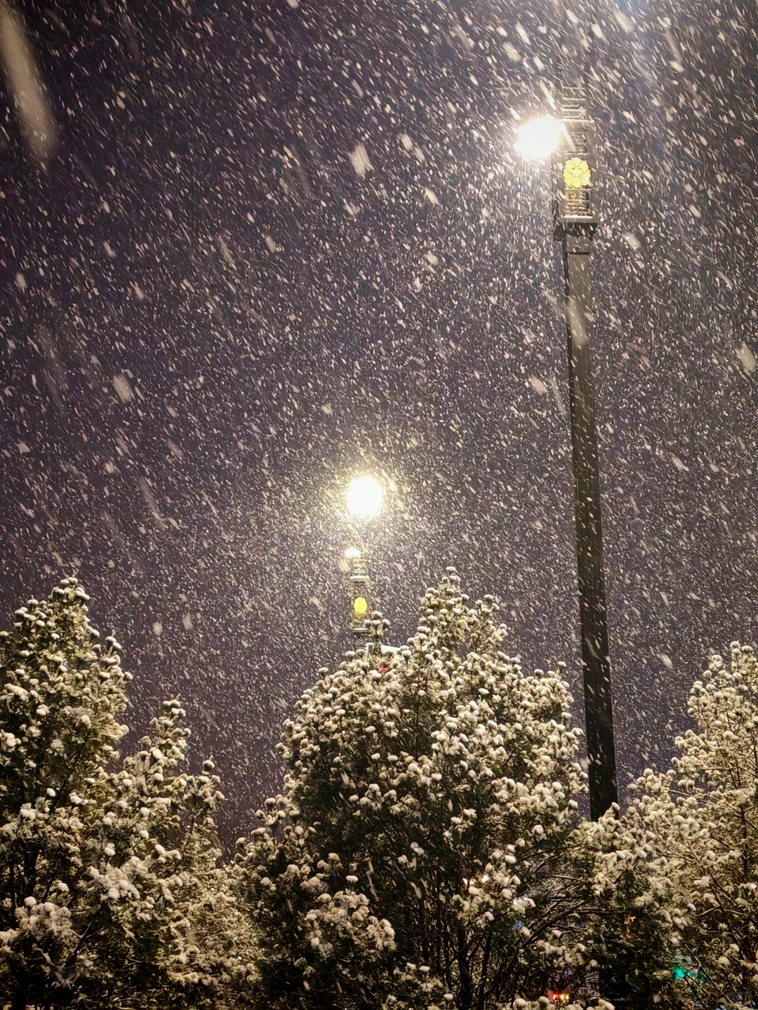 用动态照片记录这场鹅毛大雪