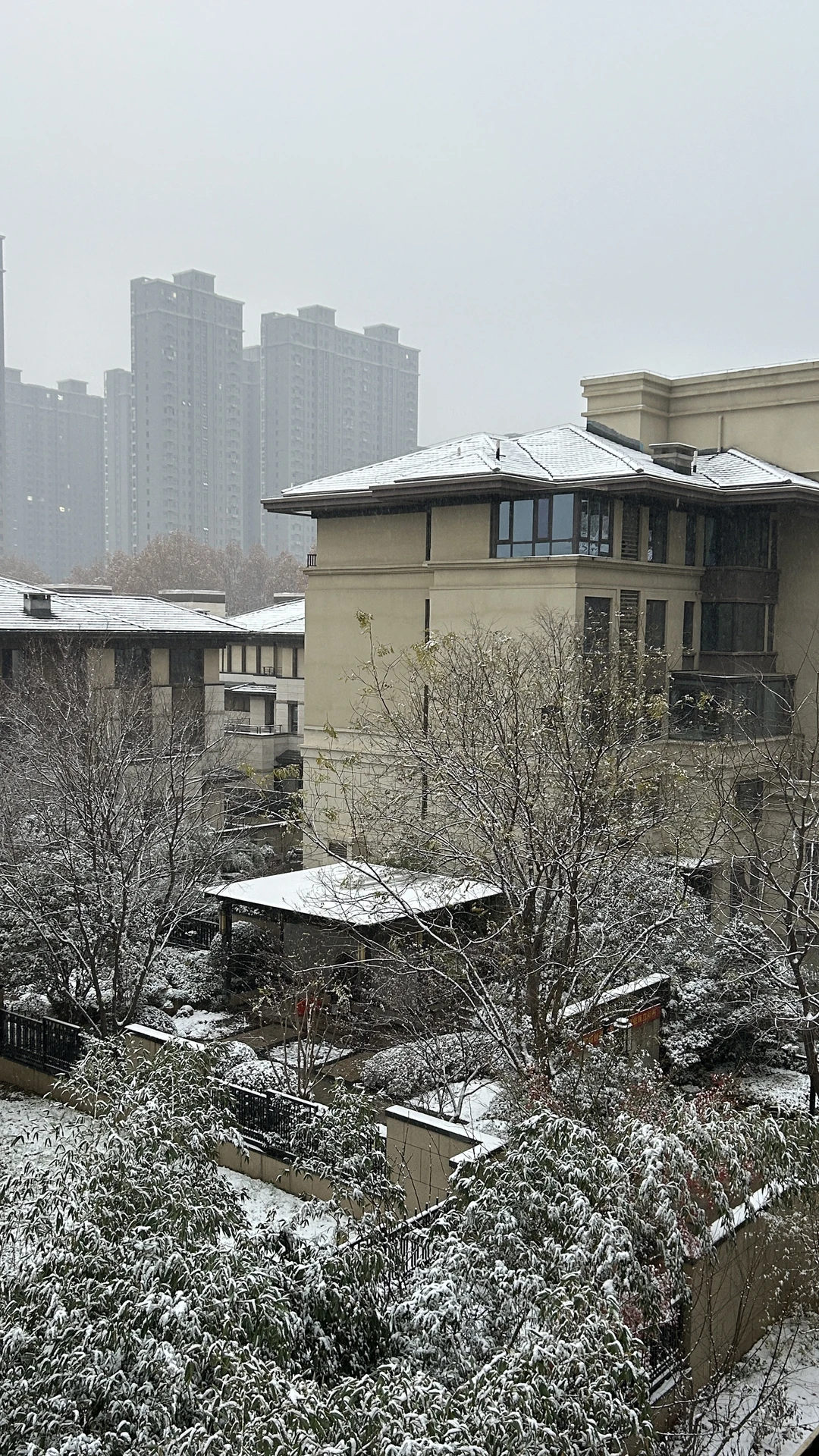 洛阳下大雪啦❄️