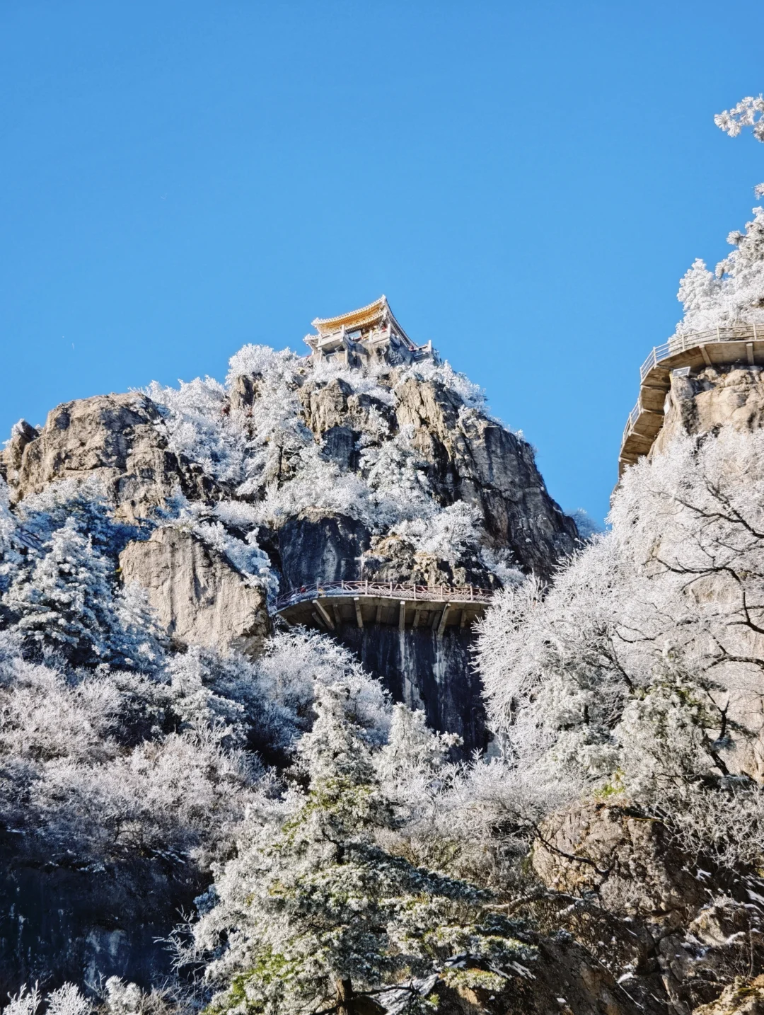 远赴人间惊鸿宴🌬️老君山上看日落看雪❄️