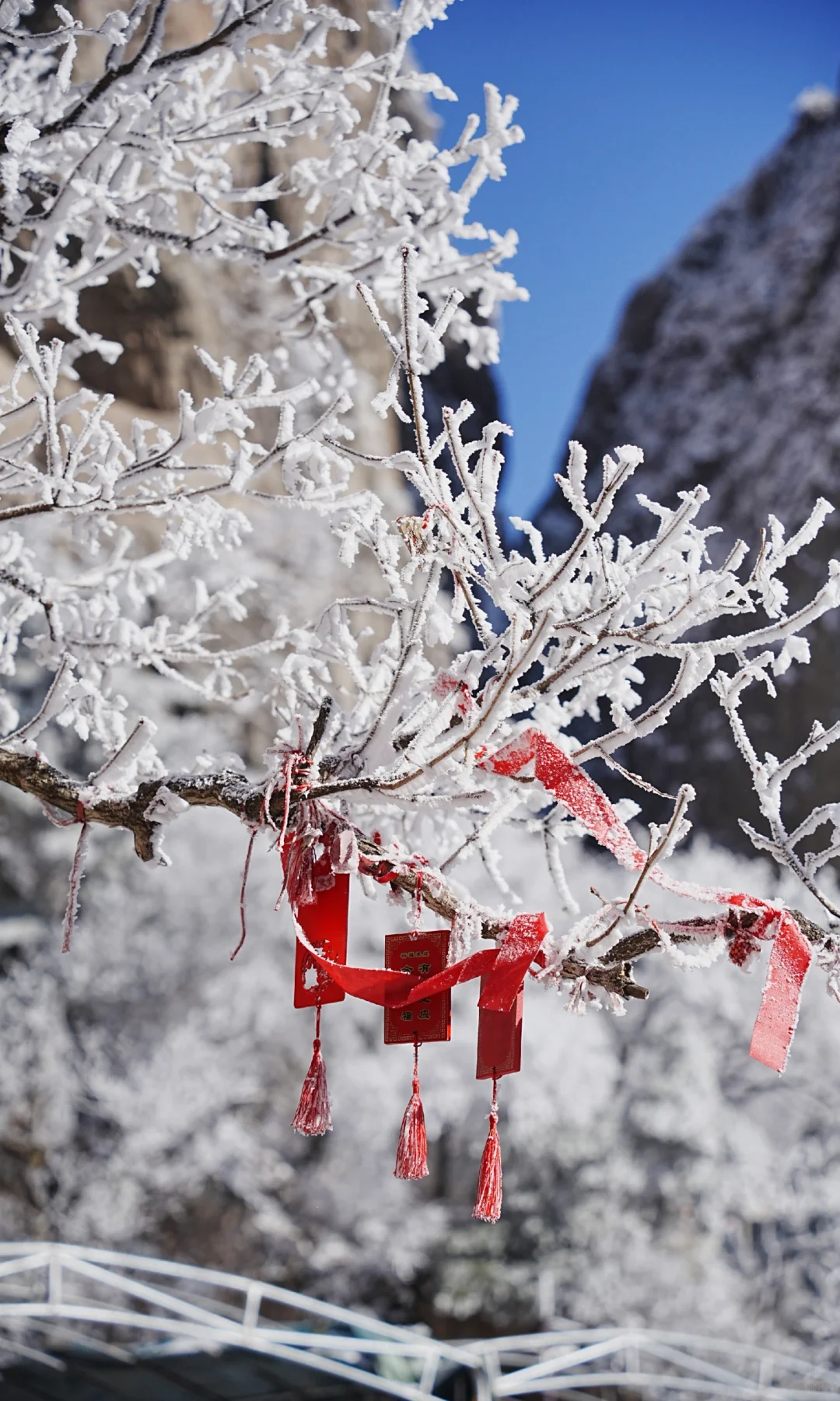 12.13| 老君山已下山，有什么想问的吗？